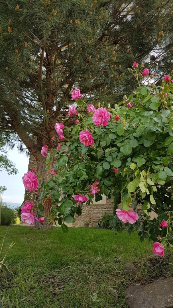 Relais De Navon Bed & Breakfast Saint-Joseph  Eksteriør bilde